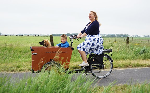 schwinn willow river trailer